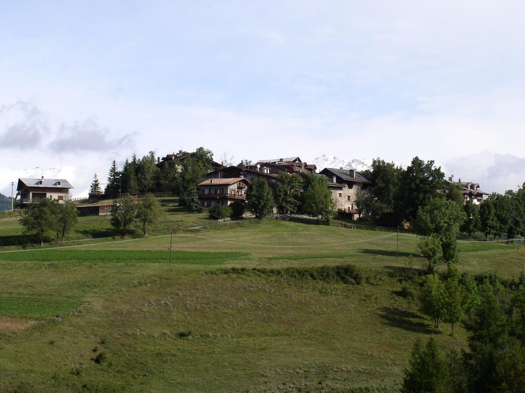 Agriturismo Barba Gust 切萨纳·都灵尼斯 外观 照片