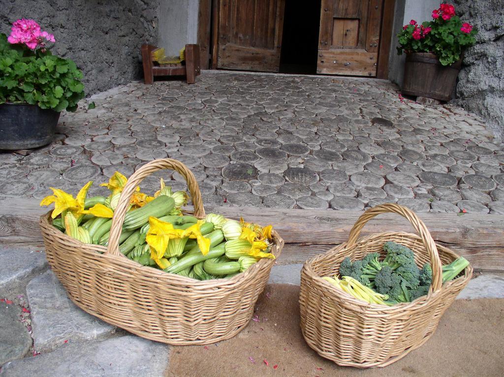 Agriturismo Barba Gust 切萨纳·都灵尼斯 外观 照片