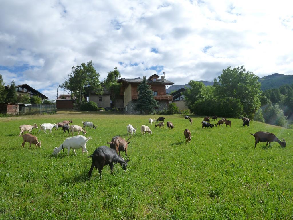 Agriturismo Barba Gust 切萨纳·都灵尼斯 外观 照片
