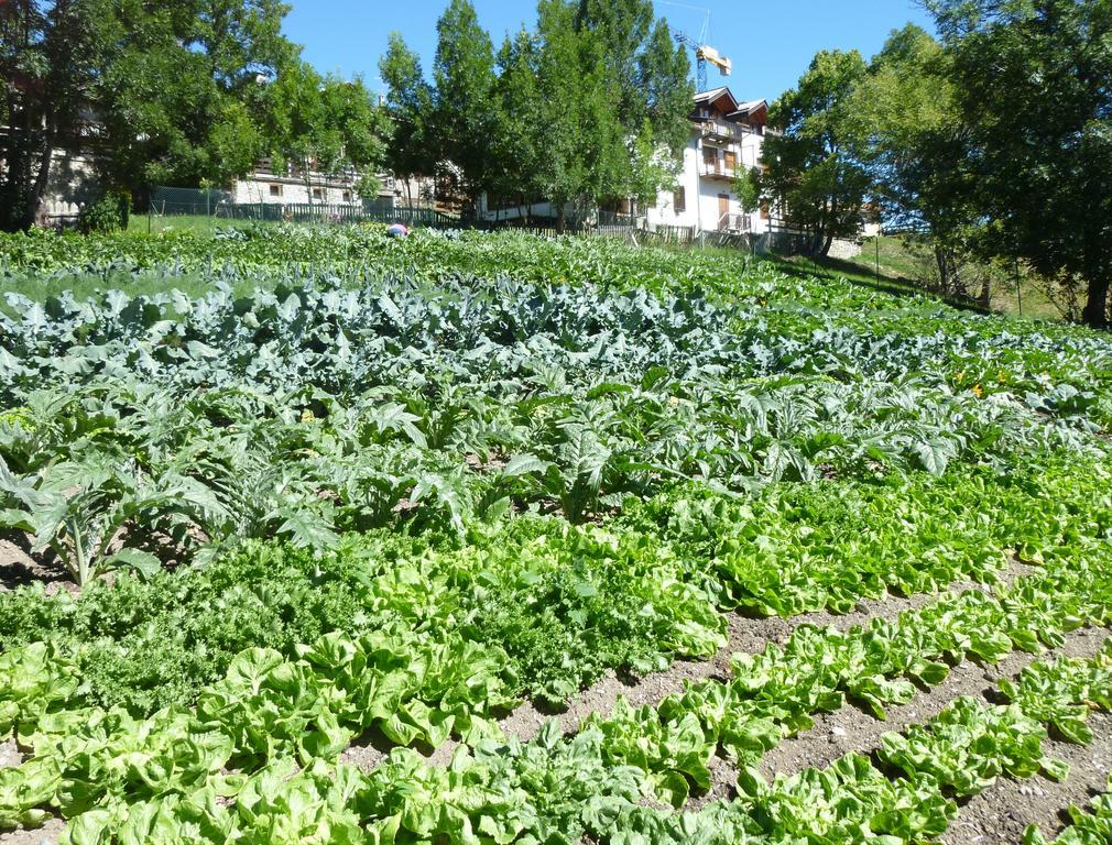 Agriturismo Barba Gust 切萨纳·都灵尼斯 外观 照片