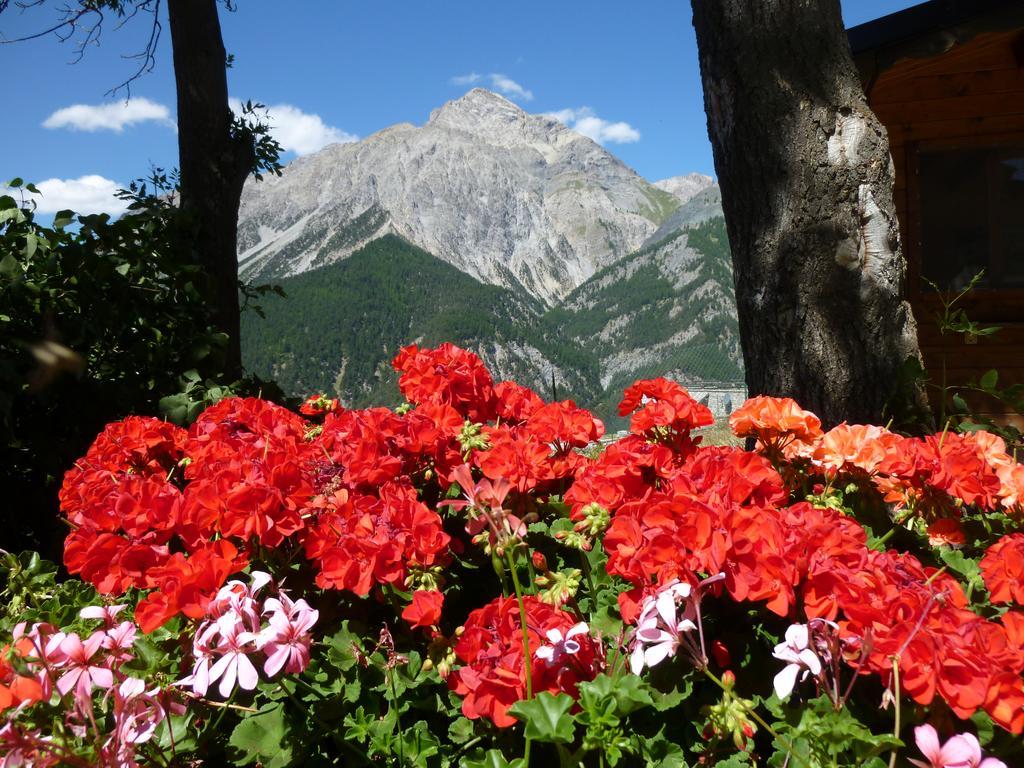 Agriturismo Barba Gust 切萨纳·都灵尼斯 外观 照片