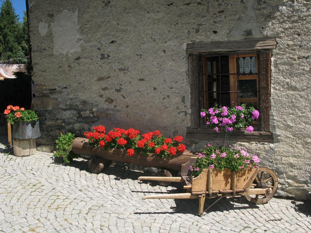 Agriturismo Barba Gust 切萨纳·都灵尼斯 外观 照片