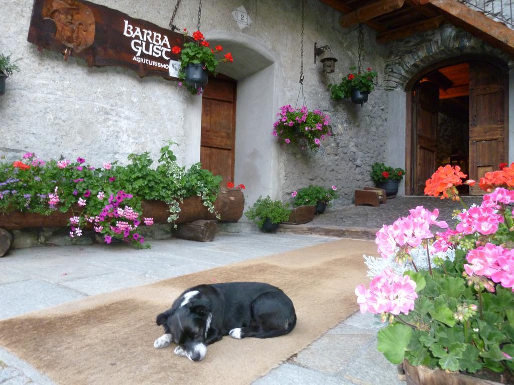 Agriturismo Barba Gust 切萨纳·都灵尼斯 外观 照片