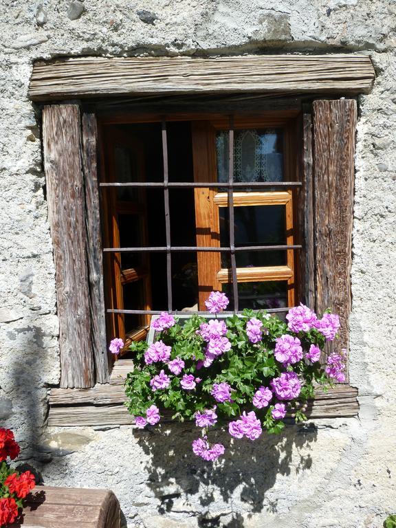 Agriturismo Barba Gust 切萨纳·都灵尼斯 外观 照片